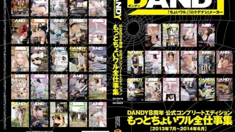 DANDY-395 DANDY 8th Anniversary Official Complete Edition More Little Wal All Work Collection