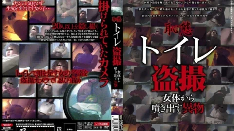 SINO-053 Embarrassment Toilet Voyeur Foreign Objects Spouting From A Woman’s Body